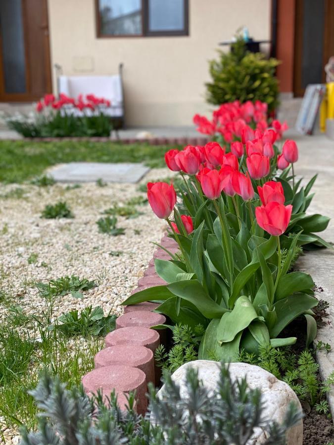 Casa Tudorascu Ξενοδοχείο Vama Veche Εξωτερικό φωτογραφία